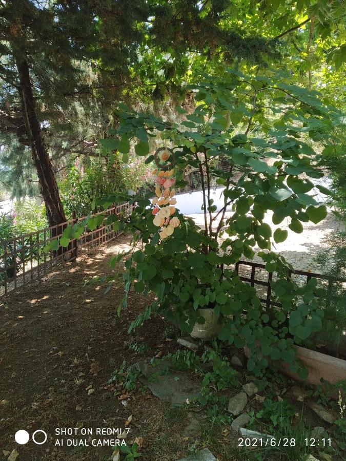 Apartament Country Art Studio Alkyoni Kókkinon Nerón Zewnętrze zdjęcie